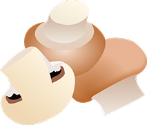 Mushrooms Design Pattern